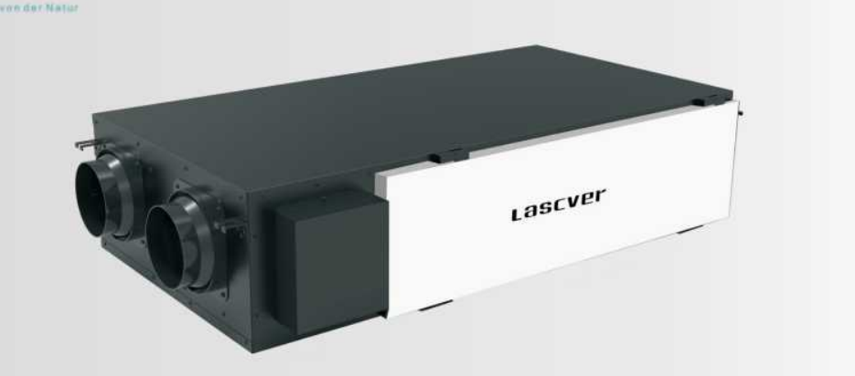 Arumjigi modern tea cup